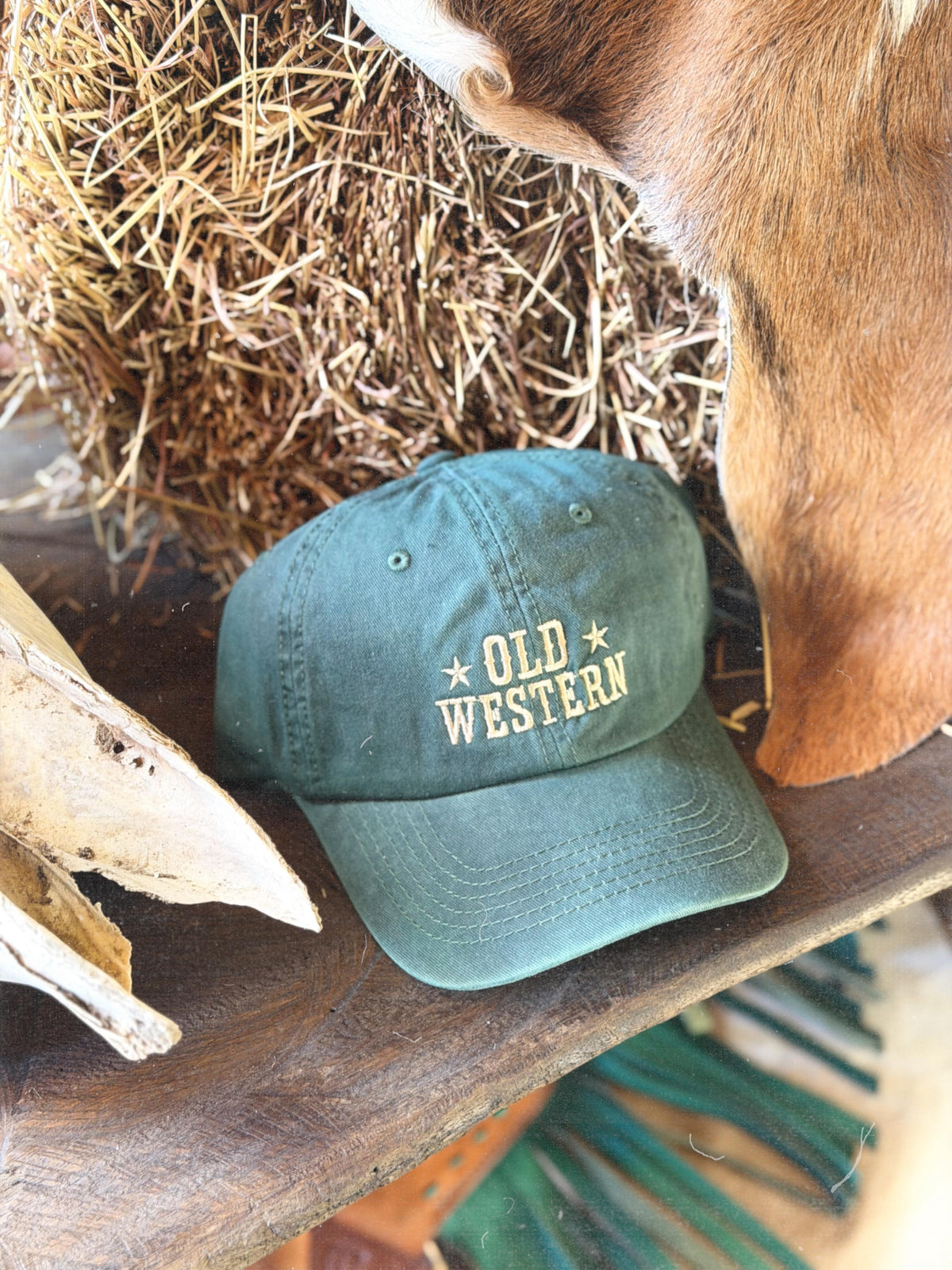 Western Caps / Gorras