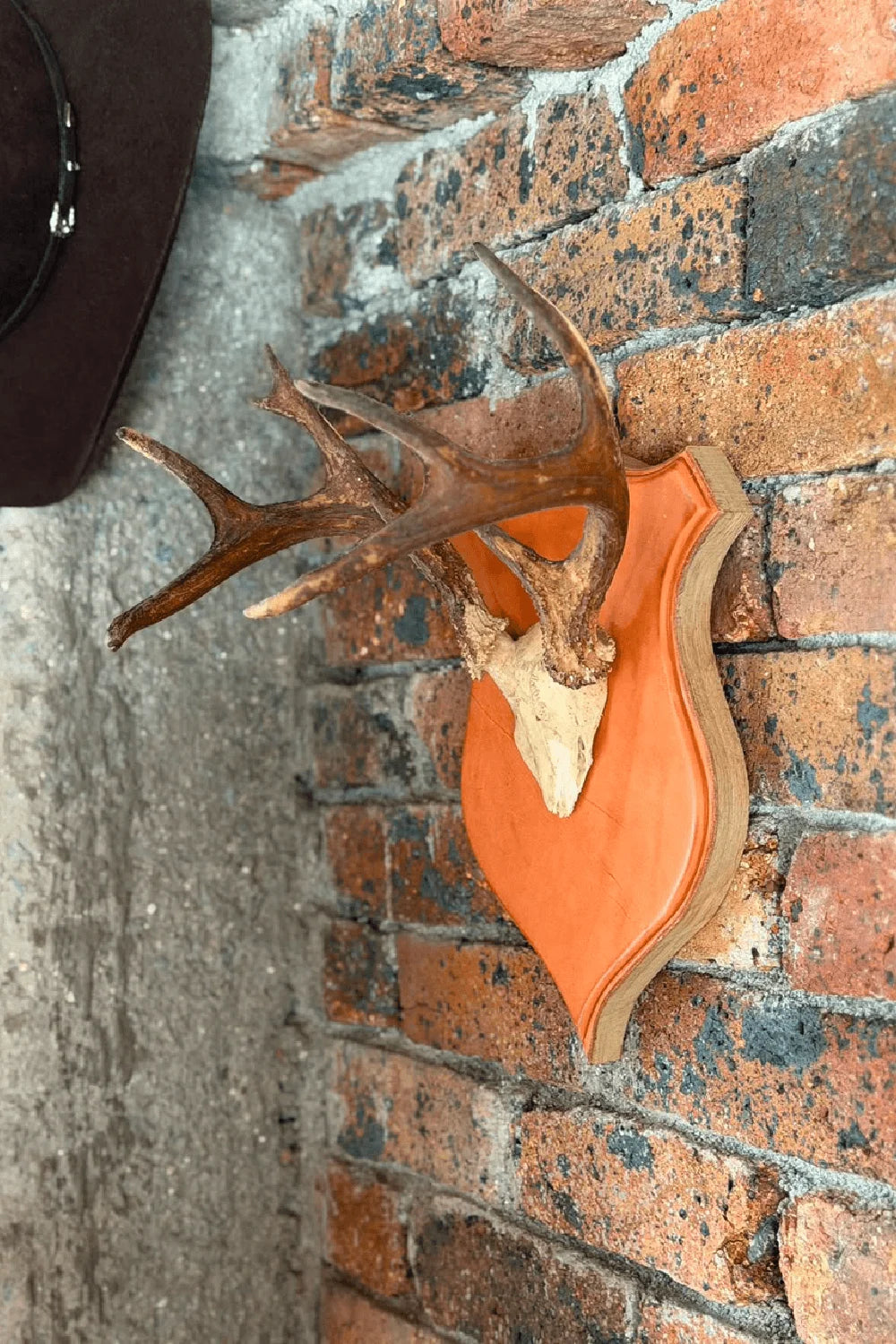 Deer Spirit / Escudos de Venado