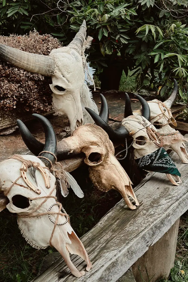 Skull Art / Cráneos