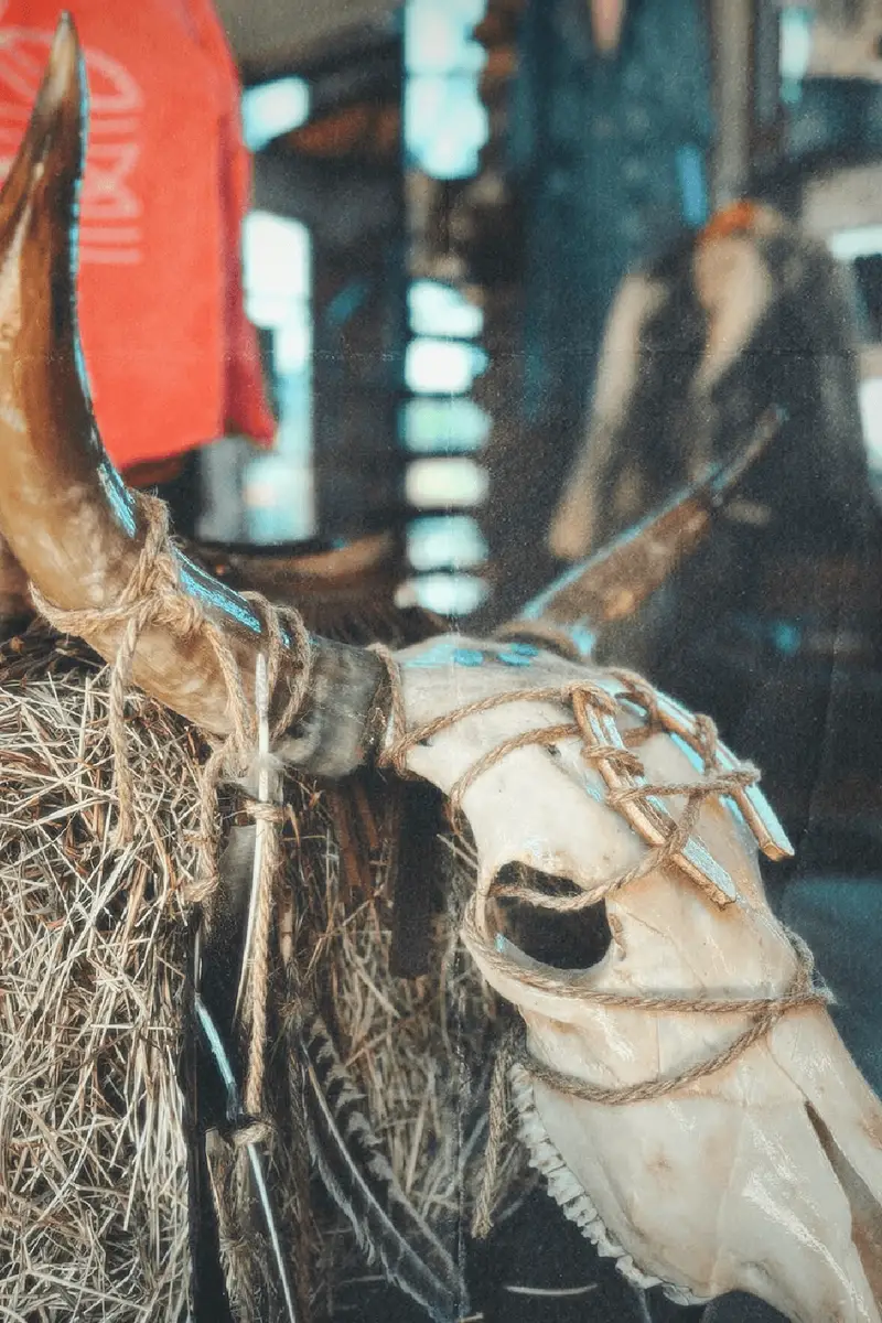 Skull Art / Cráneos