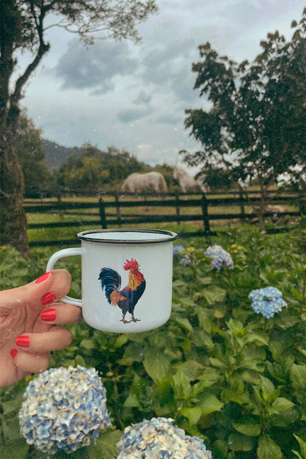 Pocillos de Peltre / 10 onzas