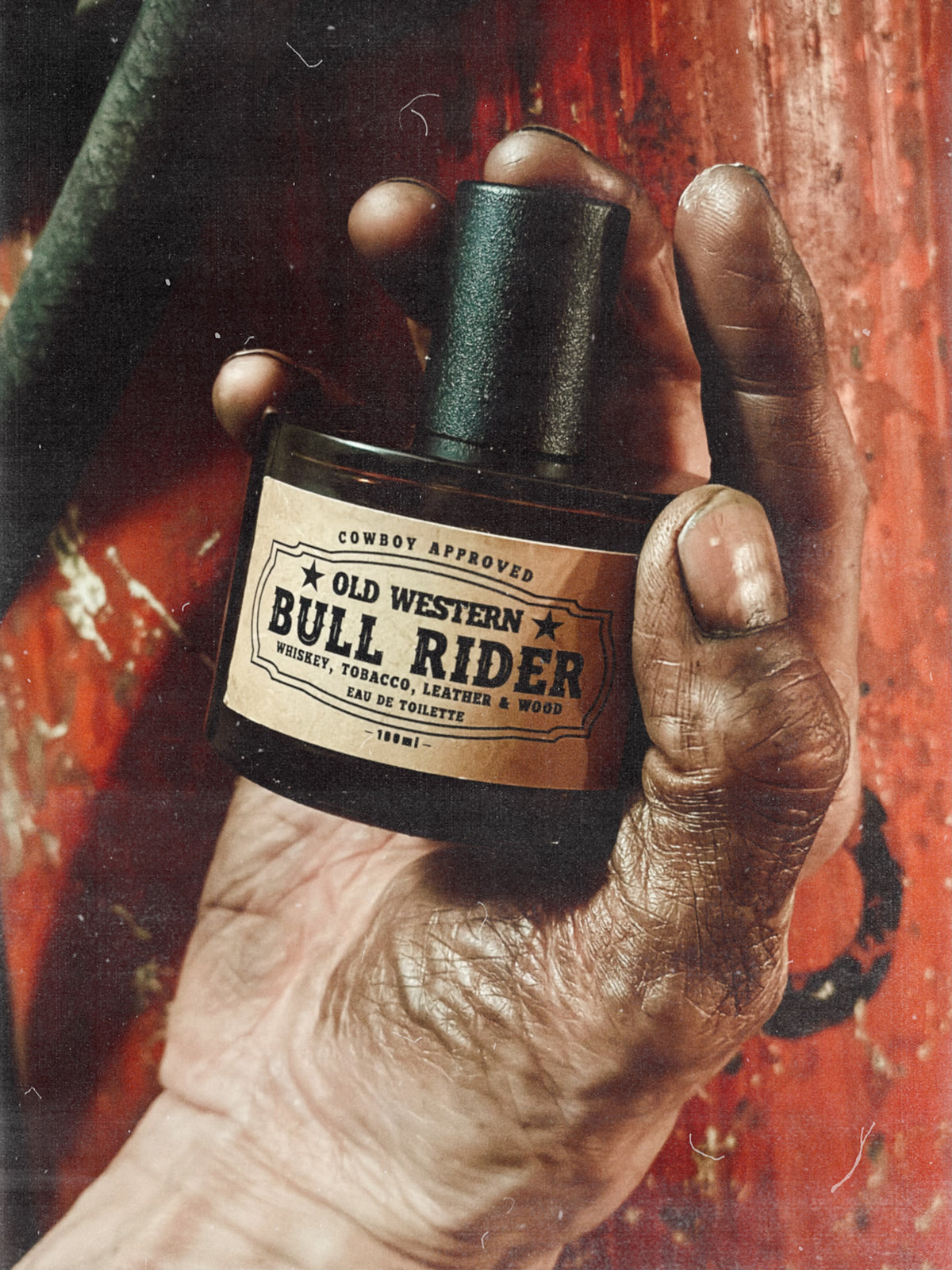 Bull Rider